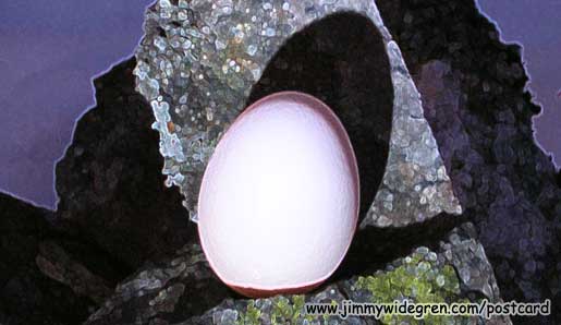 Name: pink_egg.jpg  Width: 515px  Height: 298px
