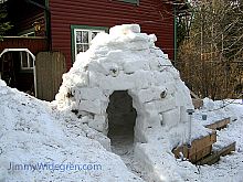 Igloo