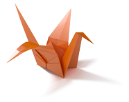 Vika - Här lär du dej vika: Pappersplan, origami, T-shirts, kuvert, skjortor och allt annat du kan tänka dej