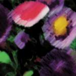 Blomster i väntan på våren
